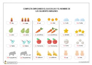 Completar texto con singular o plural