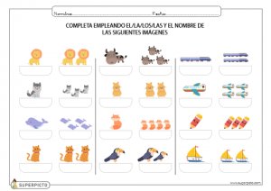 Completar texto con singular o plural