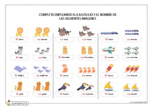 Completar texto con singular o plural