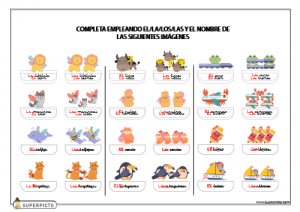 Completar texto con singular o plural