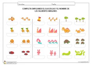 Completar texto con singular o plural