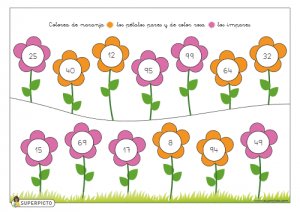 Colorear pétalos pares e impares