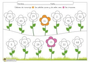 Colorear pétalos pares e impares