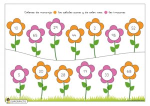 Colorear pétalos pares e impares