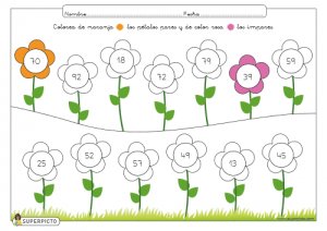 Colorear pétalos pares e impares