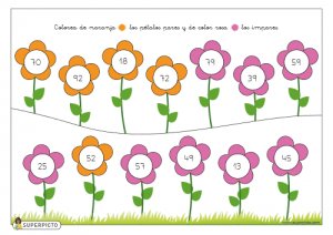 Colorear pétalos pares e impares