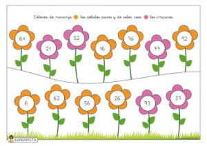 Colorear pétalos pares e impares