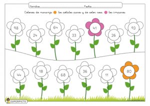 Colorear pétalos pares e impares