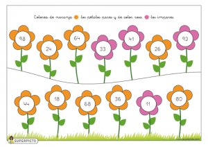 Colorear pétalos pares e impares