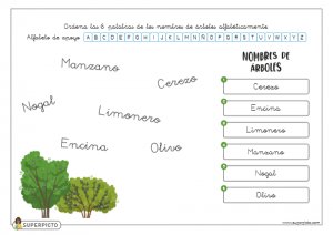 Ordenar alfabéticamente (con apoyo)