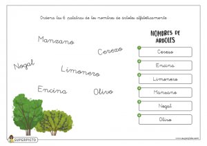 Ordenar alfabéticamente
