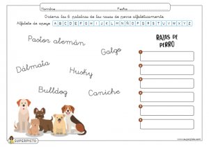 Ordenar alfabéticamente (con apoyo)