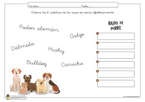 Ordenar alfabéticamente