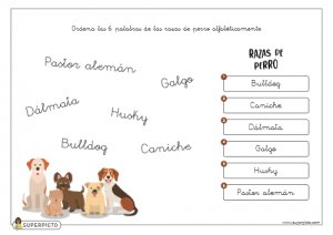 Ordenar alfabéticamente