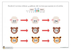 Escribir el número anterior y posterior (con apoyo explicativo visual)