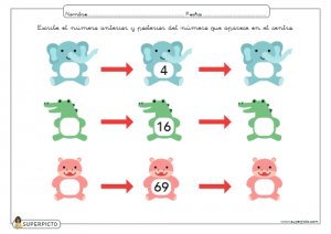 Escribir el número anterior y posterior (sin apoyo explicativo visual)