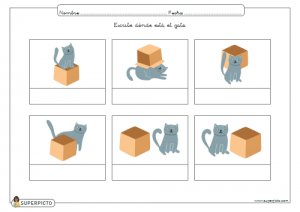 Escribir dónde está el gato