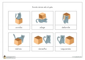 Escribir dónde está el gato
