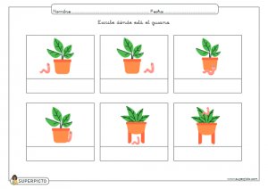 Escribir dónde está el gusano