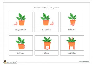 Escribir dónde está el gusano