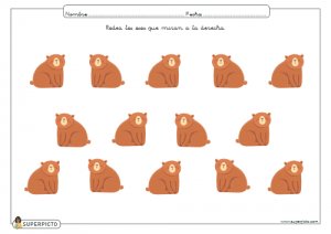 Rodear los osos que miran a la derecha