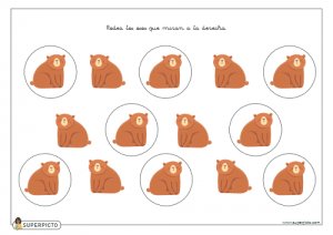 Rodear los osos que miran a la derecha