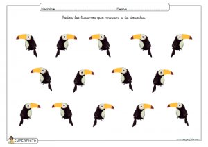 Rodear los tucanes que miran a la derecha