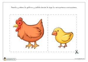 Recortar y colocar la gallina y pollito donde te diga tu compañero o compañera