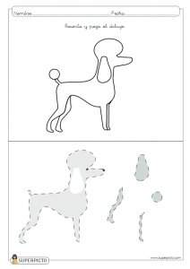 Seguir las indicaciones y después escribir lo que has dibujado (perro caniche blanco)