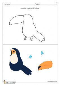Seguir las indicaciones y después escribir lo que has dibujado (tucán)