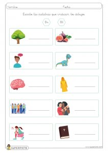 Escribir conceptos con grupos bl y br