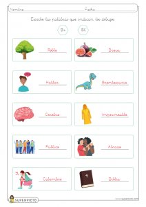 Escribir conceptos con grupos bl y br