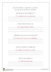 Leer de derecha a izquierda y escribir las oraciones de forma correcta