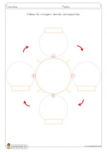 L ciclo de la vida de una mariposa