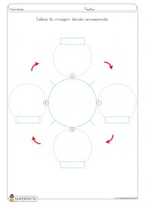 L ciclo de vida de la tortuga