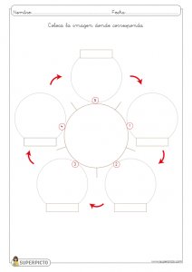 L ciclo de vida de la rana