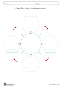 L ciclo de vida de un cocodrilo