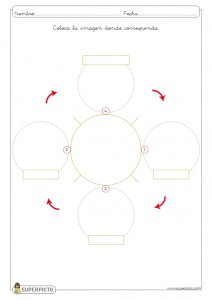 L ciclo de la vida humana