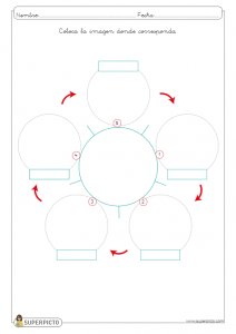 L ciclo de vida de la planta