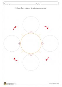 Fichas de diferentes ciclos de vida para completar e imprimir