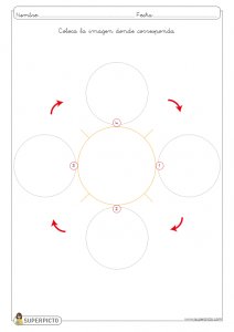 Fichas de diferentes ciclos de vida para completar e imprimir