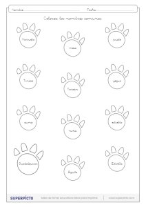 Distinguir los nombres propios de los comunes