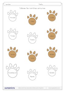 Distinguir los nombres propios de los comunes