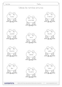 Distinguir los nombres propios de los comunes