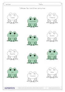 Distinguir los nombres propios de los comunes