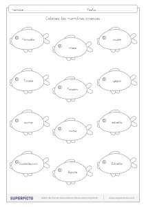 Distinguir los nombres propios de los comunes