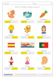 Distinguir los nombres propios de los comunes