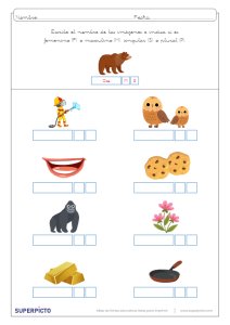 Concordancia de género y número