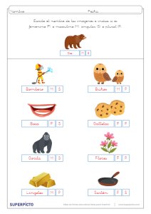 Concordancia de género y número