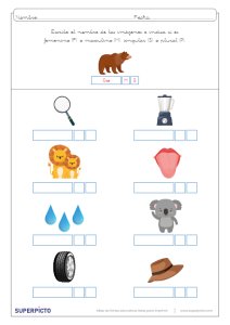 Concordancia de género y número